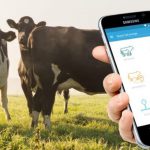 How-Technology-Is-Changing-the-Indian-Dairy-Industry-That-We-Must-Know.