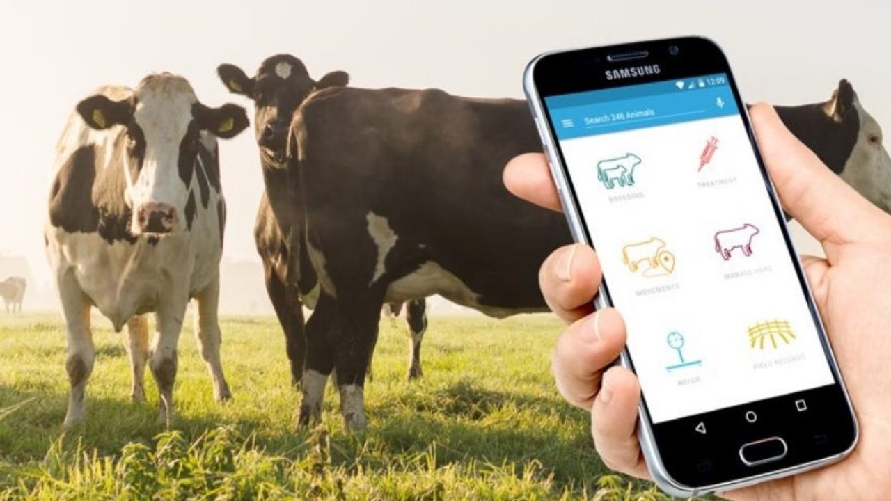 How-Technology-Is-Changing-the-Indian-Dairy-Industry-That-We-Must-Know.